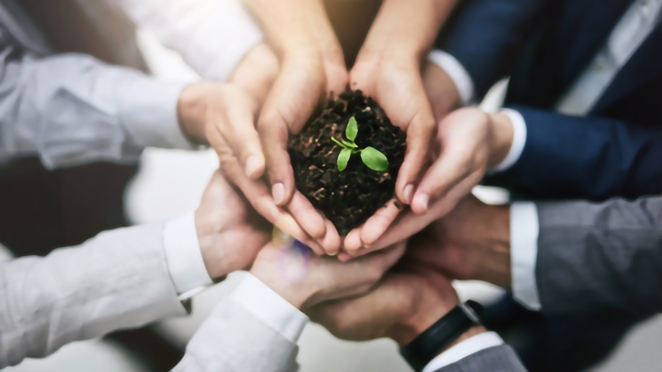 Día Mundial del Medio Ambiente
